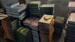 Книги о Гарри Поттере выставили на торги в Белгородской области 