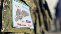 Система ПВО отразила воздушную атаку на Белгород 