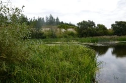 Древнее поселение Губкинского округа пополнит список культурного наследия Белгородской области