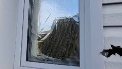 Около ста беспилотников ВСУ атаковали Белгородскую область в течение суток 