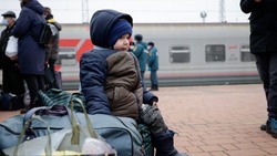 126 жителей ДНР, ЛНР и Украины уехали в Орловскую область из Белгородской