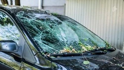 Трое погибших, почти полсотни раненых: какие последствия от атак ВСУ в Белгородской области за сутки
