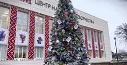 Белгородская ель стала призёром конкурса «Ёлки России»