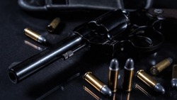Боеприпасы, огнестрельное оружие и взрывчатые вещества незаконно хранил житель Белгородской области