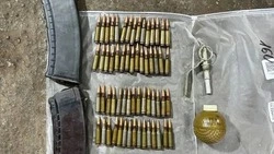 Белгородец отправился в колонию за хранение гранаты и боеприпасов