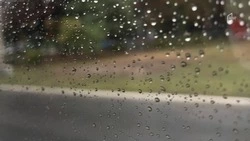 Заморозки и осадки омрачат белгородцам майские выходные