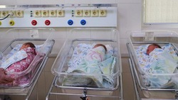 В 2024 году в Белгородской области родились 22 Татьяны 