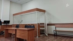 Украина и страны Африки: из каких стран девушки попались на проституции в Белгородской области