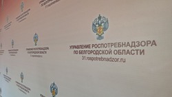 Почти 200 случаев укусов клещей зафиксировано в Белгородской области с начала 2025 года