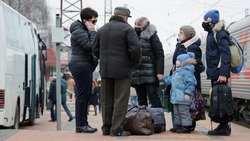 За сутки в Белгородскую область приехали 195 беженцев из ДНР и ЛНР