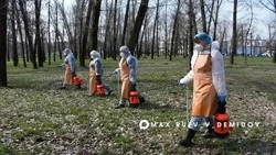 В Белгороде началась обработка парков от клещей