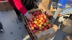 Фирма «Атава» через суд добилась отсрочки сноса рынка «Восход» в Белгороде 