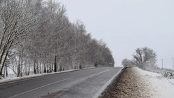 Почти 30 км дорог местного значения отремонтируют в Белгородской области в этом году