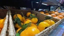 Белгородцам рассказали о правильном выборе мандаринов для новогоднего стола