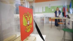Единая Россия лидирует на выборах в Белгородскую областную Думу 