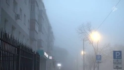 Туман и небольшие дожди опустятся на Белгородчину в выходные дни 
