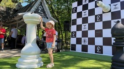 В Белгороде откроют шахматную школу Анатолия Карпова