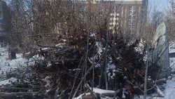 «Горы мусора и кучи веток»: белгородцы просят привести в порядок старое кладбище на Попова