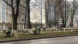 Контракты на зимнее благоустройство клумб Белгорода достались местным предпринимателям