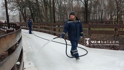 Каток в Центральном парке Белгорода не будет работать 23 и 24 декабря из-за потепления