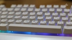 Губернатор поручил ввести максимальную цифровизацию работы правительства Белгородской области