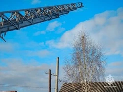 Белгородские спасатели достали с дерева кота в Алексеевке 