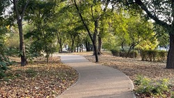 В Центральном парке Белгорода высадят около 400 новых деревьев