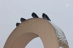 В Белгород приходят небольшие морозы и пасмурная погода