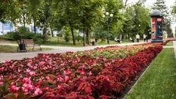 В Белгородской области похолодает до 18 градусов во вторник