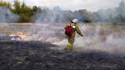 74 га территории выгорело в регионе из‑за ландшафтных пожаров