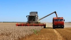 Более 1,2 тысяч комбайнов для уборки урожая было у белгородских сельхозпредприятий в начале года 