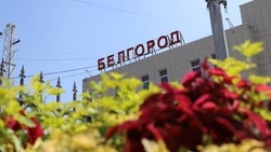 «В Белгороде мы почувствовали жизнь»: белгородцы о возвращении домой после переезда из-за обстрелов