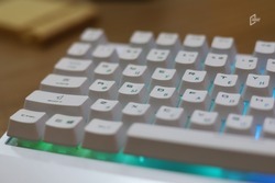Студентов IT-колледжа в Белгороде будут трудоустраивать с третьего курса