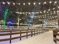 Завариванием лапши, заездами на санках и игрой в снежки отметят День студента в Белгороде 