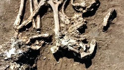 Археологи нашли три древних погребения в Белгородском районе 