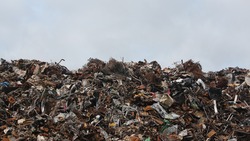 Ориентир на экологию. Что изменила «мусорная реформа» в Белгородской области