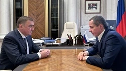 Вячеслав Гладков доложил оперативную ситуацию в Белгородской области помощнику президента РФ