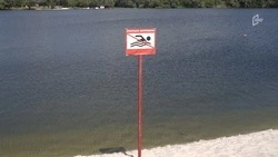 Акваторию пляжей Белгорода обследуют и очистят за 300 тысяч рублей