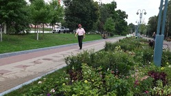 Проект благоустройства Народного бульвара в Белгороде обойдётся в 6,1 млн рублей