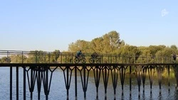 Тёплая погода без осадков вернётся к белгородцам в среду