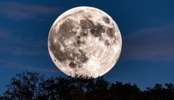 Яркую «бобровую» Луну могли наблюдать белгородцы в ночь на 6 ноября 