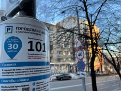 В Белгороде создадут рабочую группу для решения вопроса по платным парковкам 