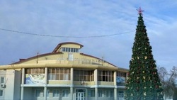 Белгородские муниципалитеты начали готовиться к установке новогодних ёлок 