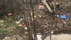 Белгородцы пожаловались на мусор в Архиерейской роще 