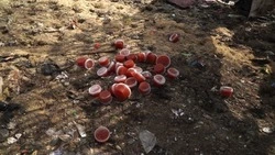 10 килограммов красной икры без документов утилизированы на полигоне в Белгороде