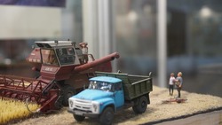 Выставка «История в миниатюре» открылась в белгородском историко-краеведческом музее