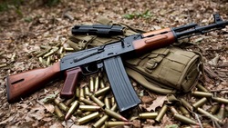 Белгородцу грозит до пяти лет колонии за нелегальное хранение оружия 