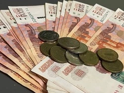 Мяса больше, объёмы строительства ниже: как изменился индекс производства в Белгородской области 