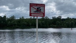 Пляж на Везельской в Белгороде не прошёл проверку Роспотребнадзора