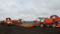 Белгородские аграрии из приграничья получат 190 млн рублей в качестве поддержки от государства